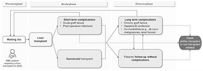Estimation of lifetime costs for patients receiving a transplant: the case of liver transplantation related to hepatitis B in Italy